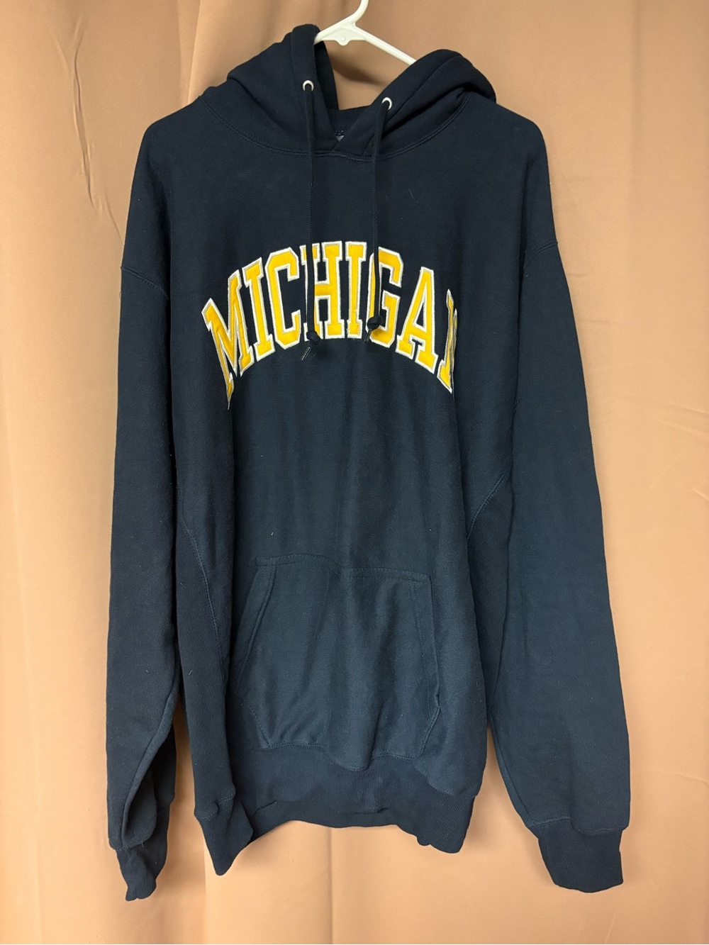 Vintage Y2K Michigan Wolverines Hoodie Men XL Steve & Barry’s Sewn 2000s Heavy